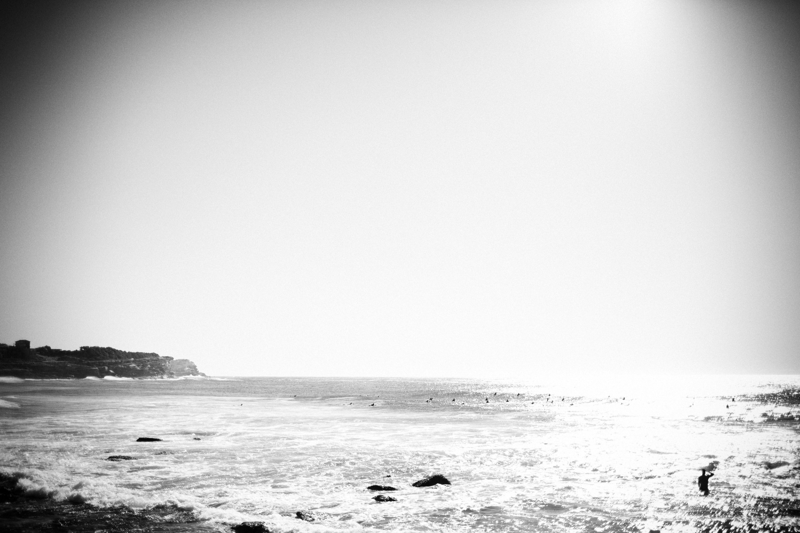 bronte1