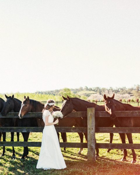 Tara at the Polo Club
