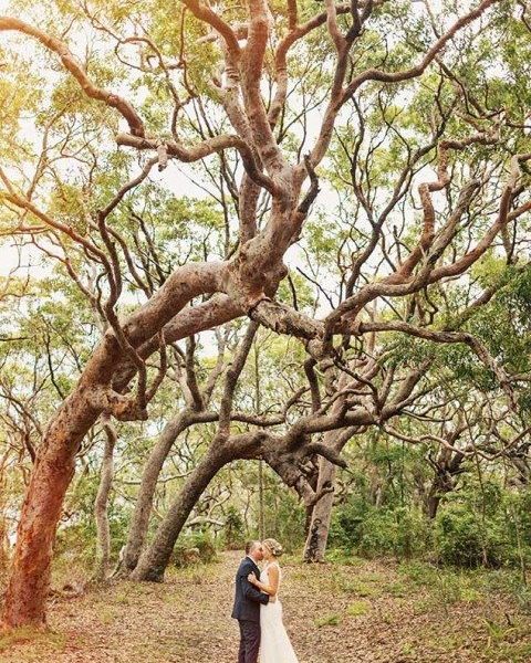 Emily + Nick {MARRIED}