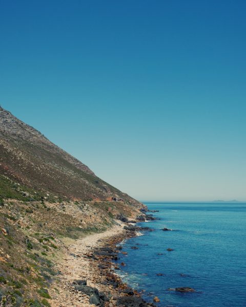 Happy New Year From Africa